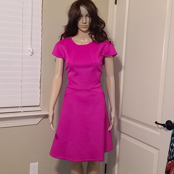 Ted Baker Pink Cap Sleeve Skater Dress - Picture 5 of 8